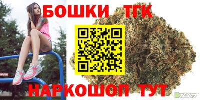 гашик Новокубанск